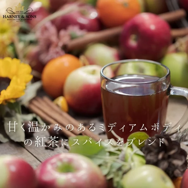 【HARNEY & SONS × THE MET】HOT APPLE SPICE BLACK TEA ホット・アップル・スパイス・ブラック・ティー 【HDS】 - 画像3
