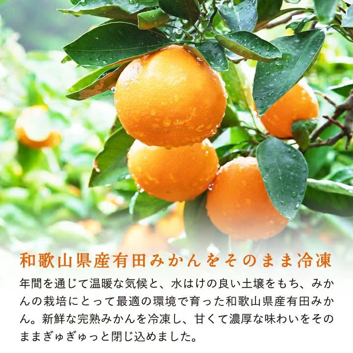 冷凍みかん - 画像3