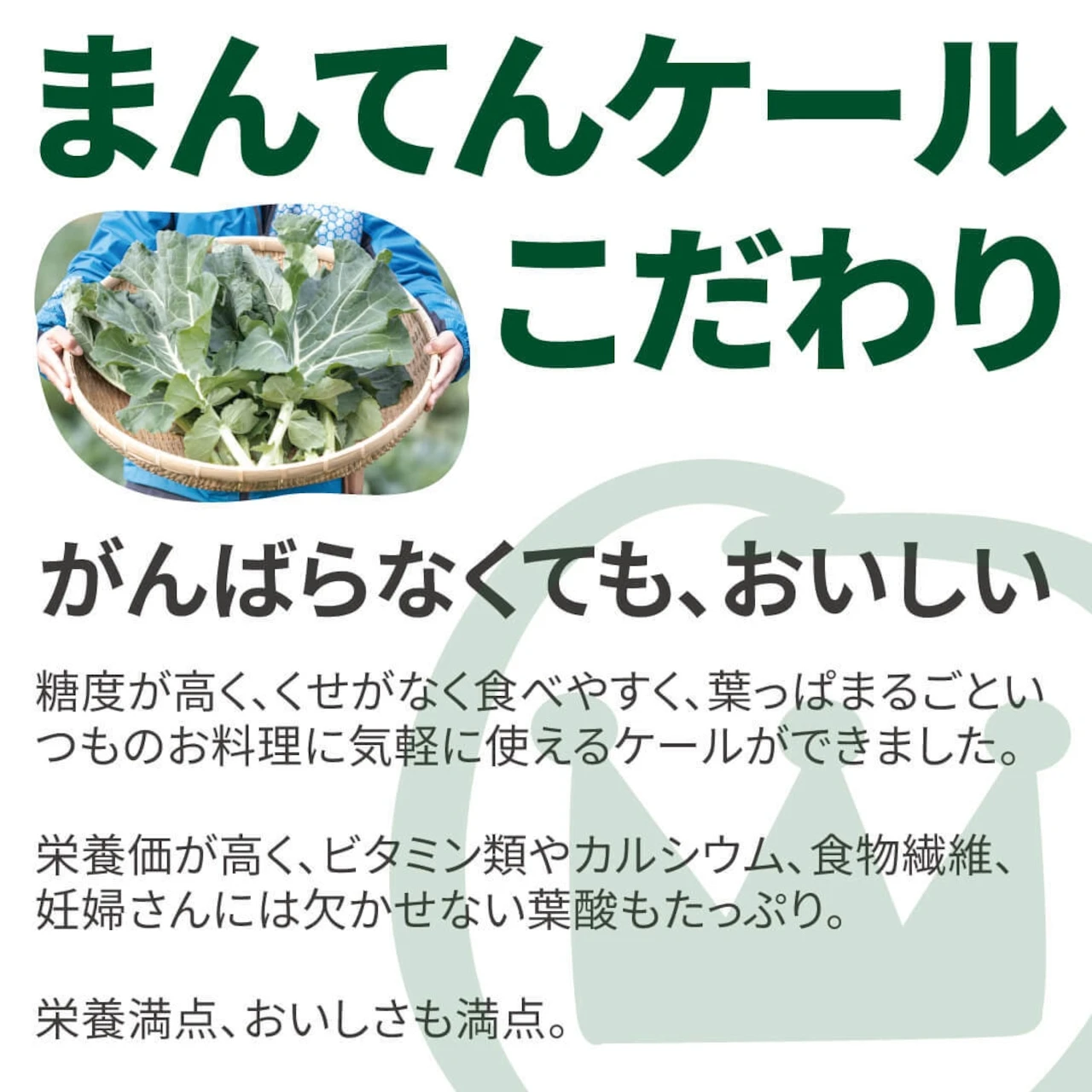 おいしいケールのオイル漬け - 画像4
