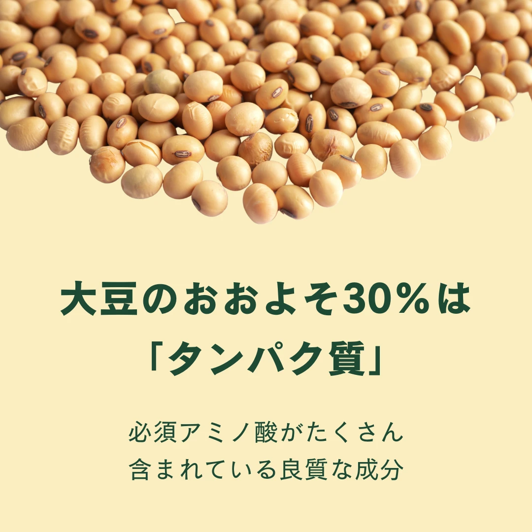 コンベジ - 画像7