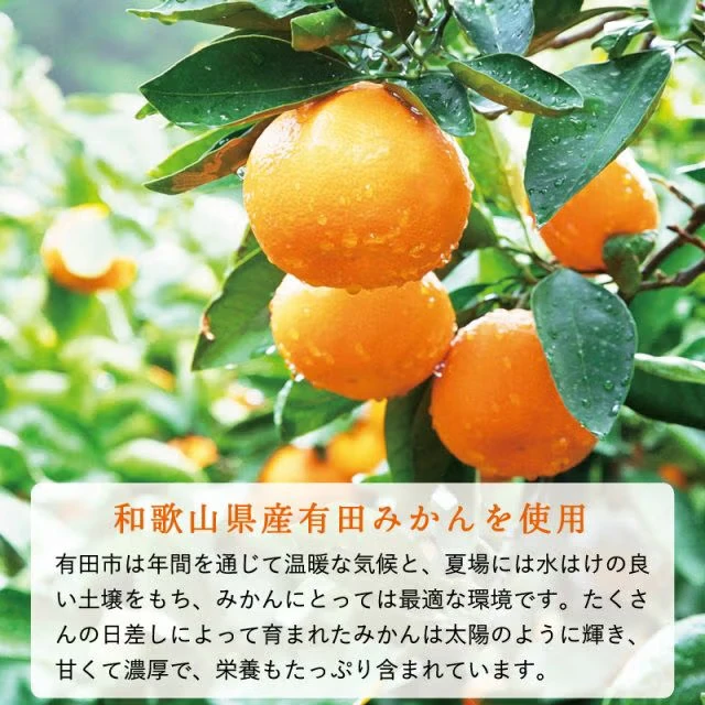果樹園のなめらかみかんジャム - 画像3