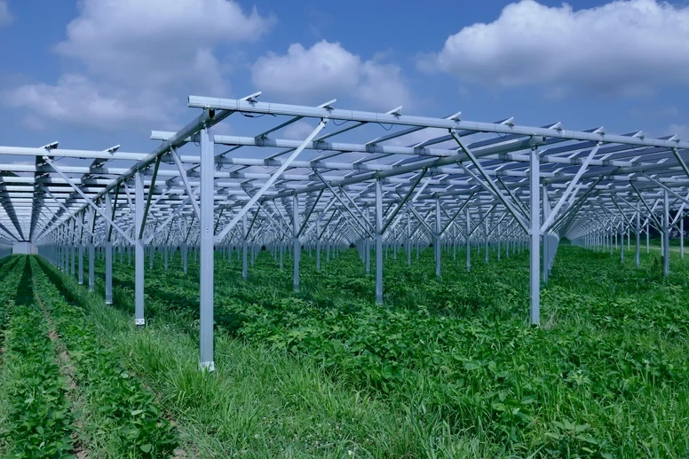 有機JAS認証 国産有機丸大豆 千葉県産ヒュウガ - 画像4