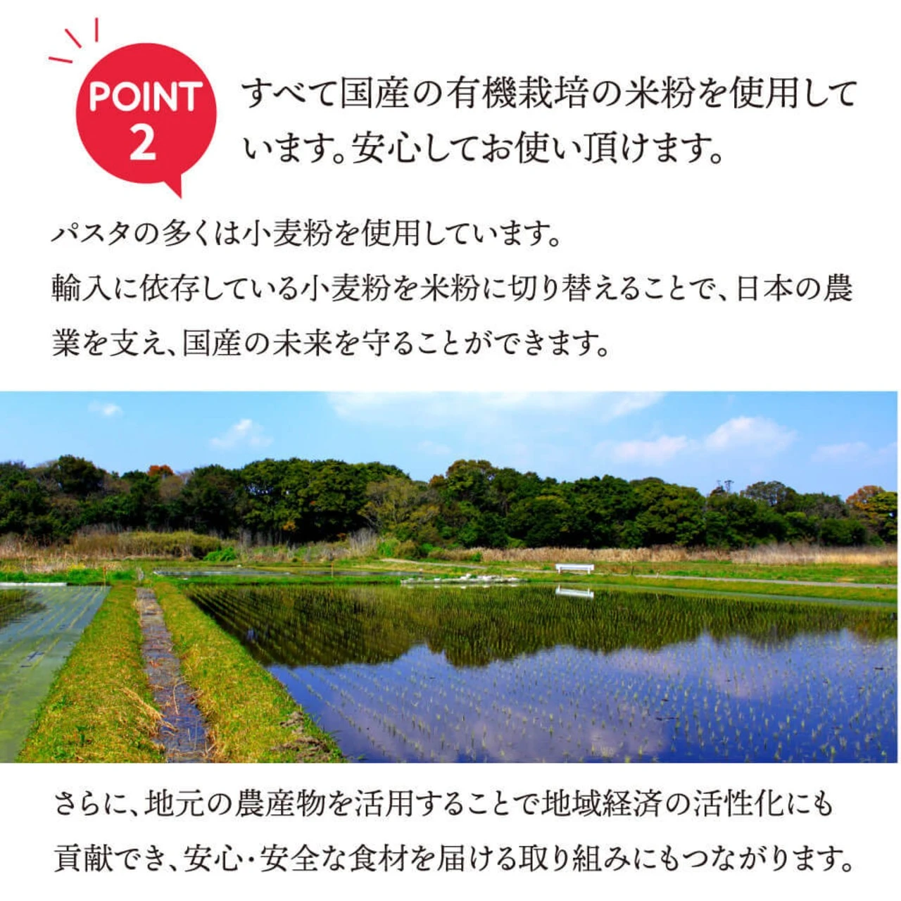 ケールと米粉のショートパスタ - 画像4