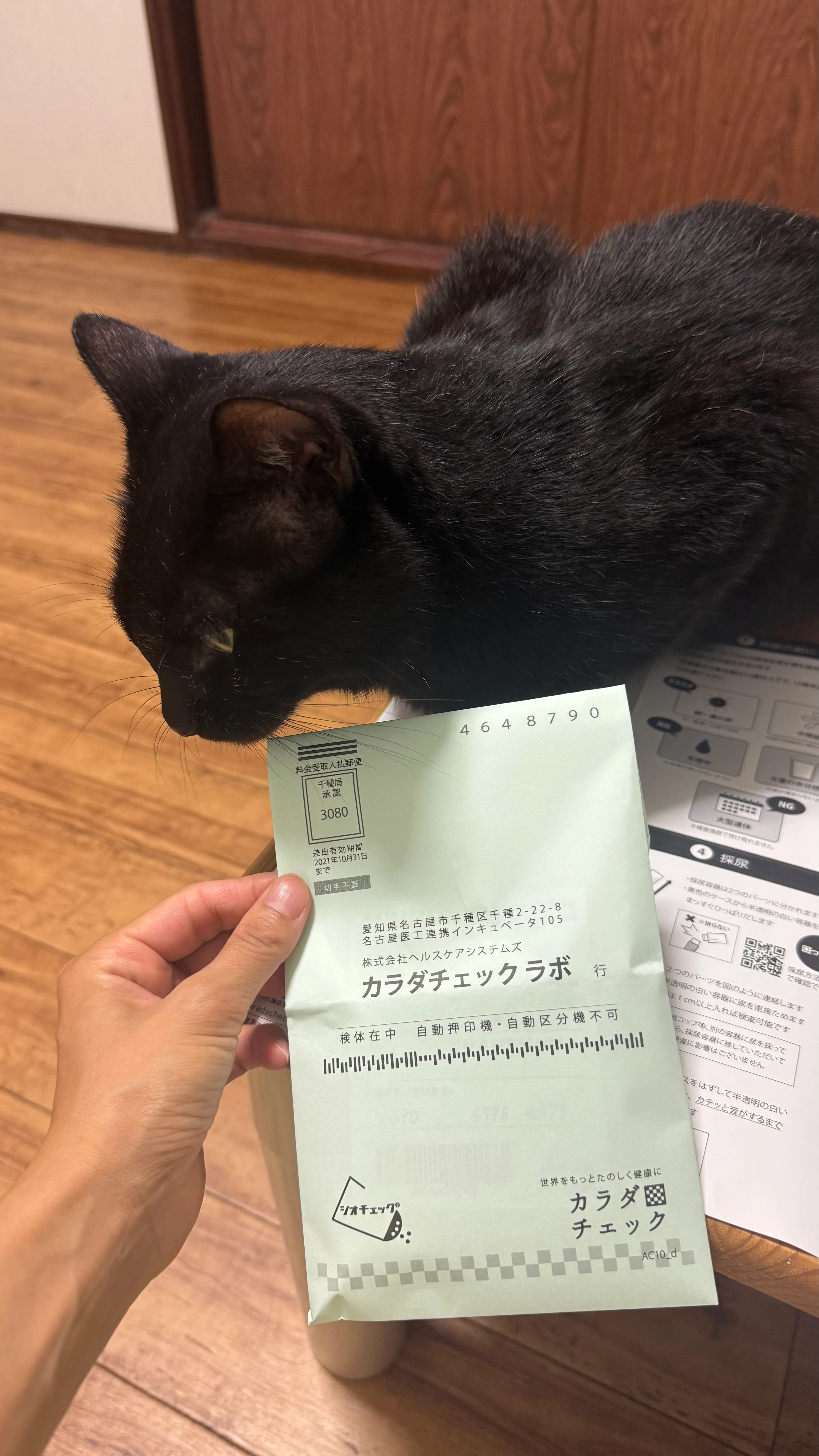 レビュー画像
